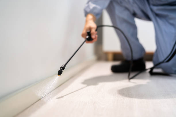 Licensed Ant Control service in Fredericktown, OH - Nex Pest Control