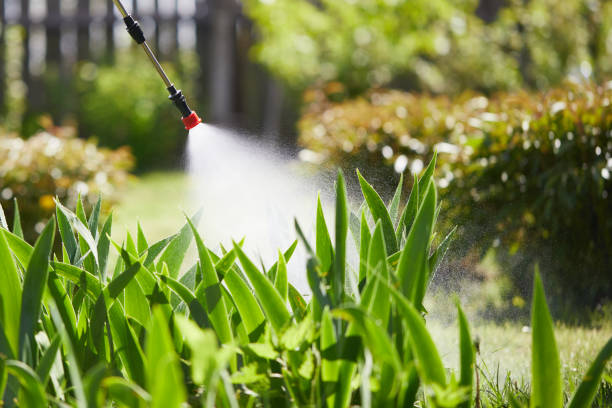 24/7 Emergency Ant Control experts in Fredericktown, OH